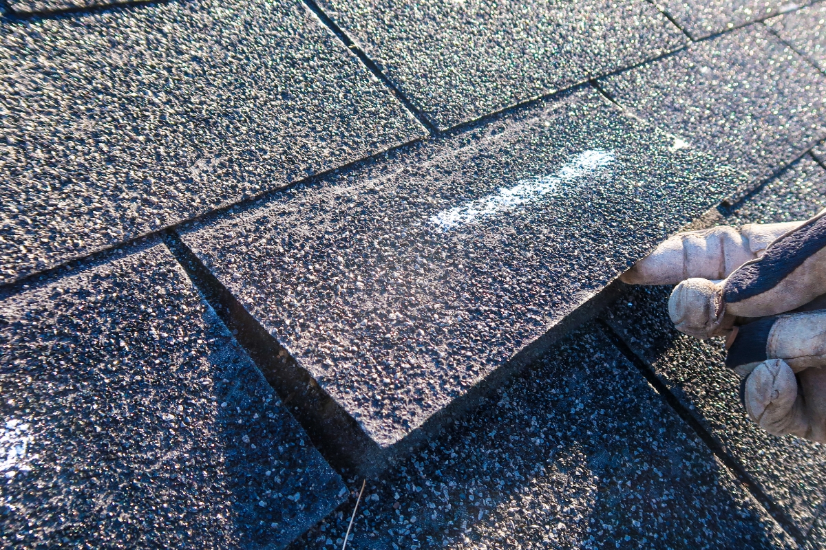 Storm Damage Repair Services Near Me