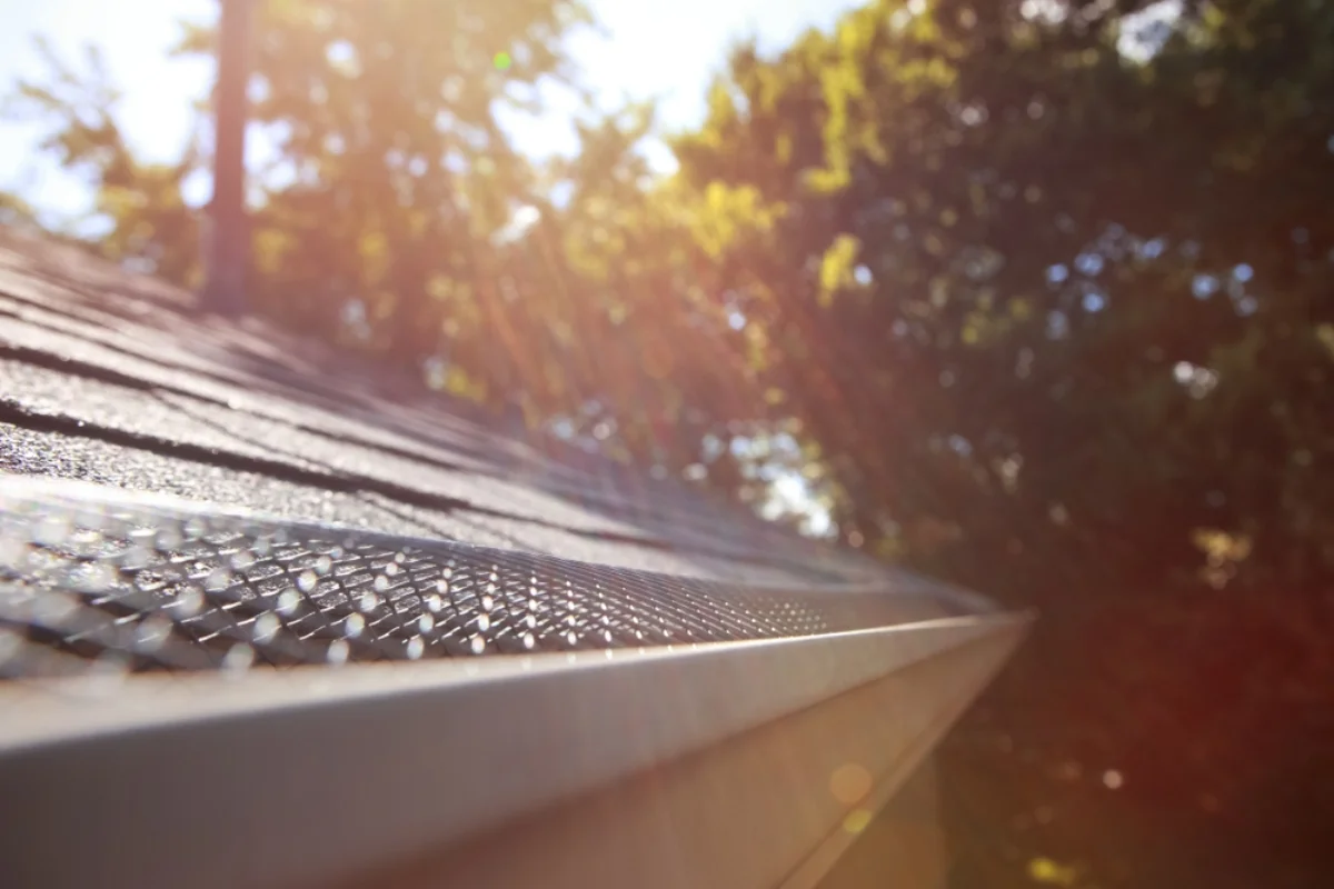 Gutter-Guard-filter.webp