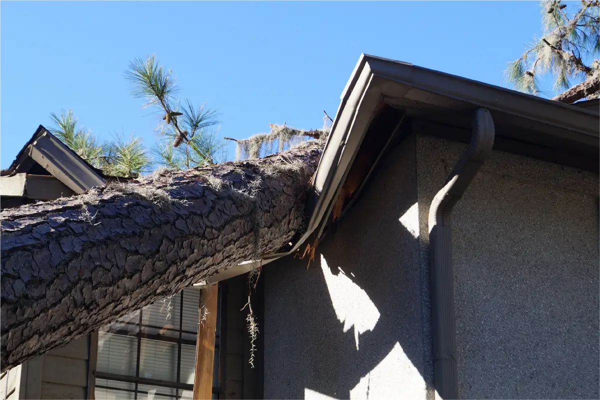 Damaged-Roof-New Damaged Roof